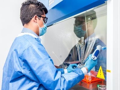 Scientist performs medical research in biological safety cabinet by amts in houston, texas.